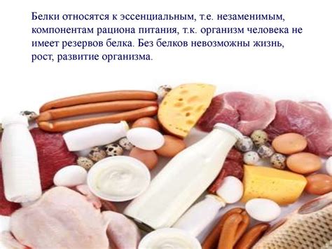 Значение белков в питании человека - презентация онлайн