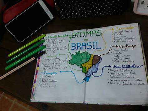 Biomas Do Brasil Vegeta O Brasileira Mapa Mental Biomas Geografia