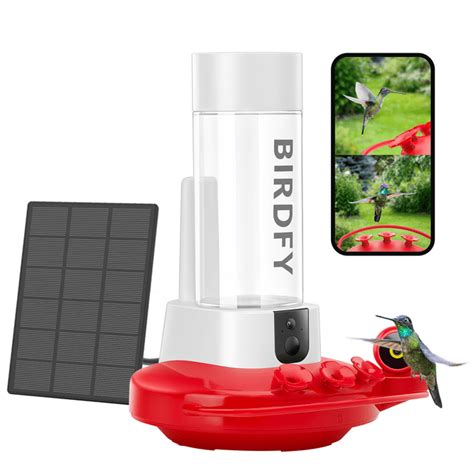 Smart Hummingbirds Feeder With Camera Netvue Birdfy Bird Feeder With Dual Camera Free Ai And