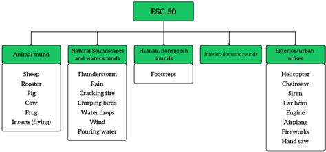 Sensors Free Full Text Forest Sound Classification Dataset Fsc