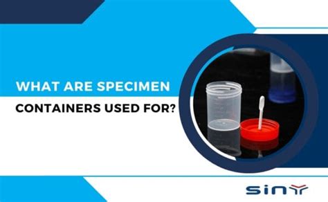 Understanding Specimen Containers Uses And Importance