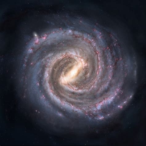 milky   stock photo public domain pictures