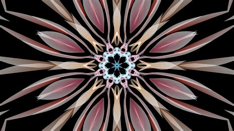 Light Red Yellow Kaleidoscope Flower Shapes Abstraction Black