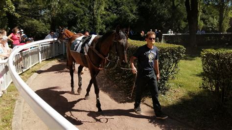 Chevaux Jouer Dans Le Quint Pmu Du Mercredi