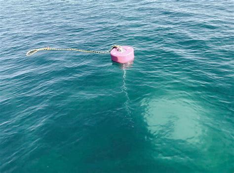 Environmentally Friendly Mooring Systems Port Stephens Moorings