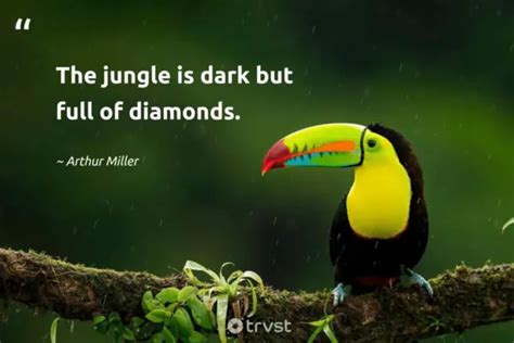 42 Jungle Quotes Inspiring Conservation And Adventure (2024)