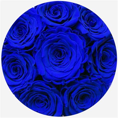 Basic Royal Blue Suede Box | Royal Blue Roses | The Million Roses