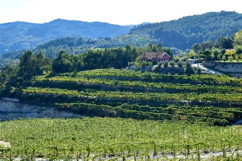 Days In The Minho Region Portugal Vinho Verde Wine Keller