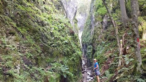 Piatra Craiului National Park Private Hiking Tour From Brasov Kkday