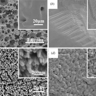 FESEM Photographs Of The Fractured Surface Of Porous Titanium Before