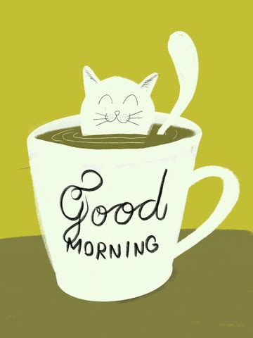 Cat Good Morning GIFs Find Share On GIPHY