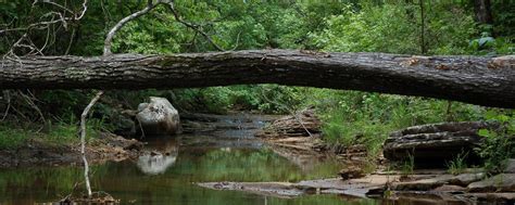 Ouachita Mountains, Arkansas Tourist Attractions, Sightseeing and Parks ...