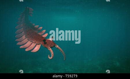 Anomalocaris Life Form Of The Cambrian Period D Paleoart