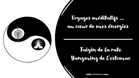 16 Méditation Taiyin de la rate et Yangming de l estomac YouTube