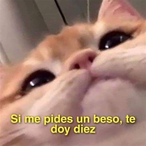 Meme Romántico En 2020 Memes Románticos Memes Divertidos Memes