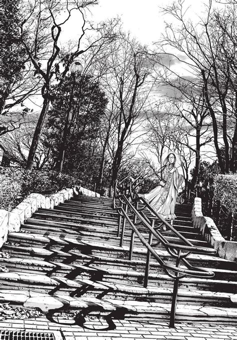 Black And White Photograph Of Stairs Leading Up To Trees