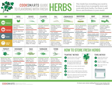 Have You Ever Wondered What Herbs And Spices To Use With Different Foods Us Too This