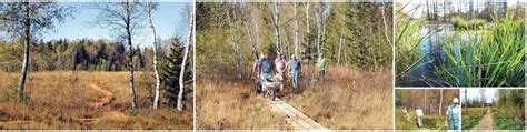 Neuer Wanderweg Durchs Arrisrieder Moos Am Freitag Wird Er Offiziell