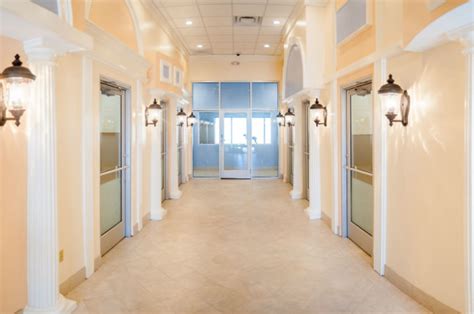 luxury dog boarding  resorts blog