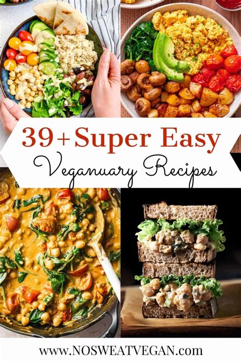 39 Easy Veganuary Recipes Perfect For Beginners No Sweat Vegan