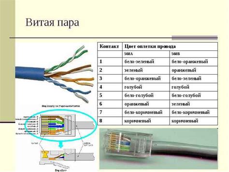 Виды сетевых кабелей и для чего нужны сетевые провода > Флэтора
