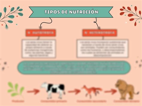 SOLUTION Tipos De Nutrici N Tb2 Biolog A Studypool