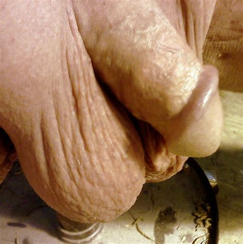 Cock Shots Porn Pictures XXX Photos Sex Images 309202 PICTOA