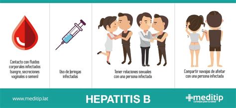 Hepatitis Causas Diagnóstico Y Tratamiento Meditip