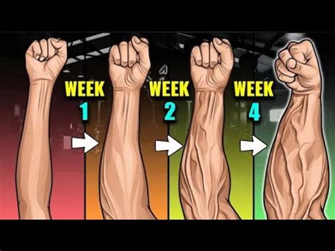 Hate Your Twig Forearms DO THIS Big Forearms In Just 4 Weeks At Home