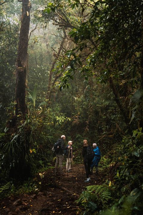 Tips For El Pianista Trail In Boquete Panama Updated