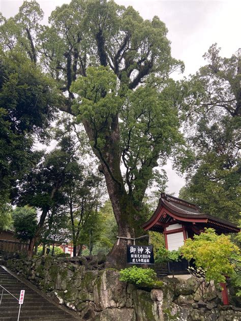 毎日神様 11月3日 久久能智神 自分の芯を見つける ことほぎの栞