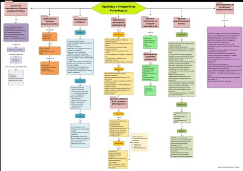 Receptores Adrenergicos Ubicacion