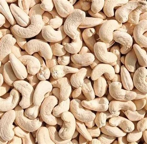 Raw Natural Ww Cashew Nuts Packaging Size Loose At Rs Kg In Surat