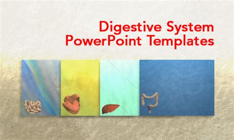 Digestive System Medicine Powerpoint Templates