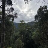 Gunung Angsi Via Bukit Putus Ulu Bendul Negeri Sembilan Malaysia