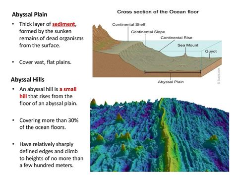 Ocean Floor Topography And Features