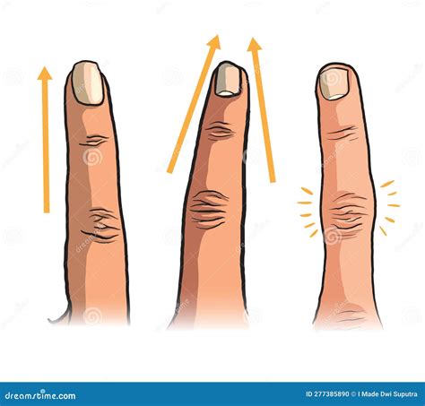 Illustration of Finger Types Stock Vector - Illustration of shapes ...