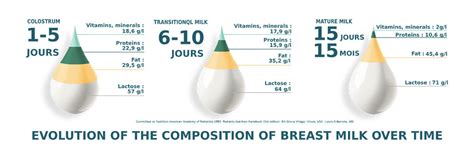 The Benefits Of Breast Milk For Your Baby Modilac Laboratory