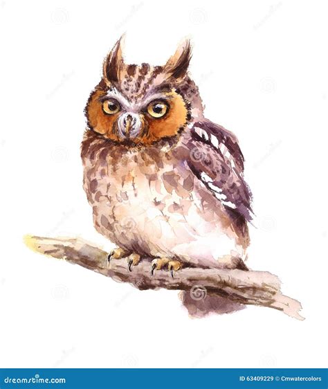 Baby Owl Watercolor Bird Illustration Hand Painted Stock Illustration ...