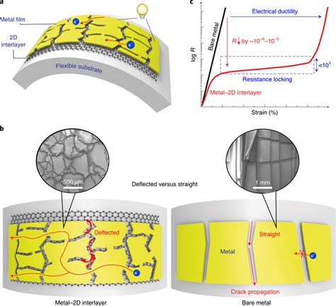 Flexible Metal Electrode Achieved By The Insertion Of A 2D Material