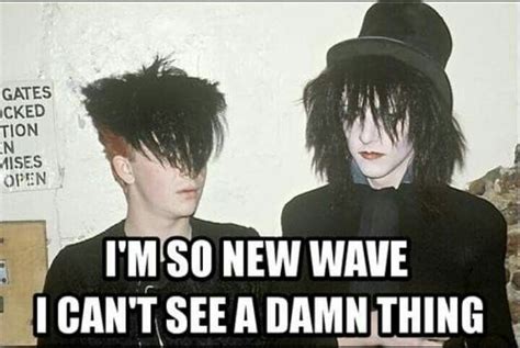 Pin By Alison Ehrick On Goth LOLs Goth Memes Goth Humor Memes