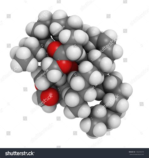 Saturated Animal Fat Triglyceride Molecule These Stock Illustration