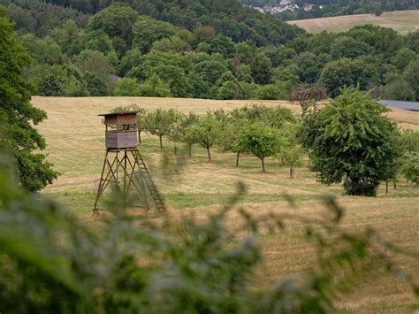 P1680146 Bei Seidenbach Odenwald Deutschland Hanke Silke Flickr