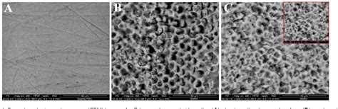 Figure From Biomimetic Remineralization Of Acid Etched Enamel Using