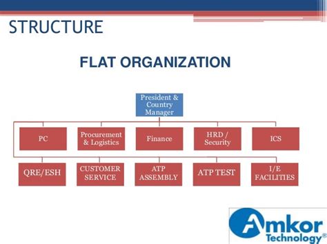 Flat: Organisational Structure Flat