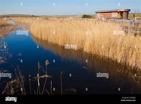 Rainham Essex High Resolution Stock Photography and Images - Alamy