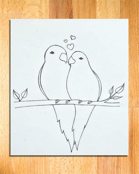 How To Draw Parrots Easy Pencil Drawing Of Two Parrots For Beginners