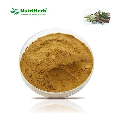 Chinese Herbal Plant Extract Dong Quai Extract Angelica Sinensis