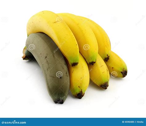 Rotten Banana Stock Image Image Of Diversity Disadvantageous 4590485