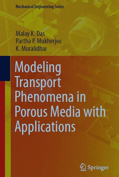 Modeling Transport Phenomena In Porous Media With Applications